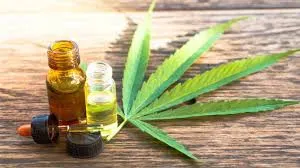 Reumatologista que trata com canabidol